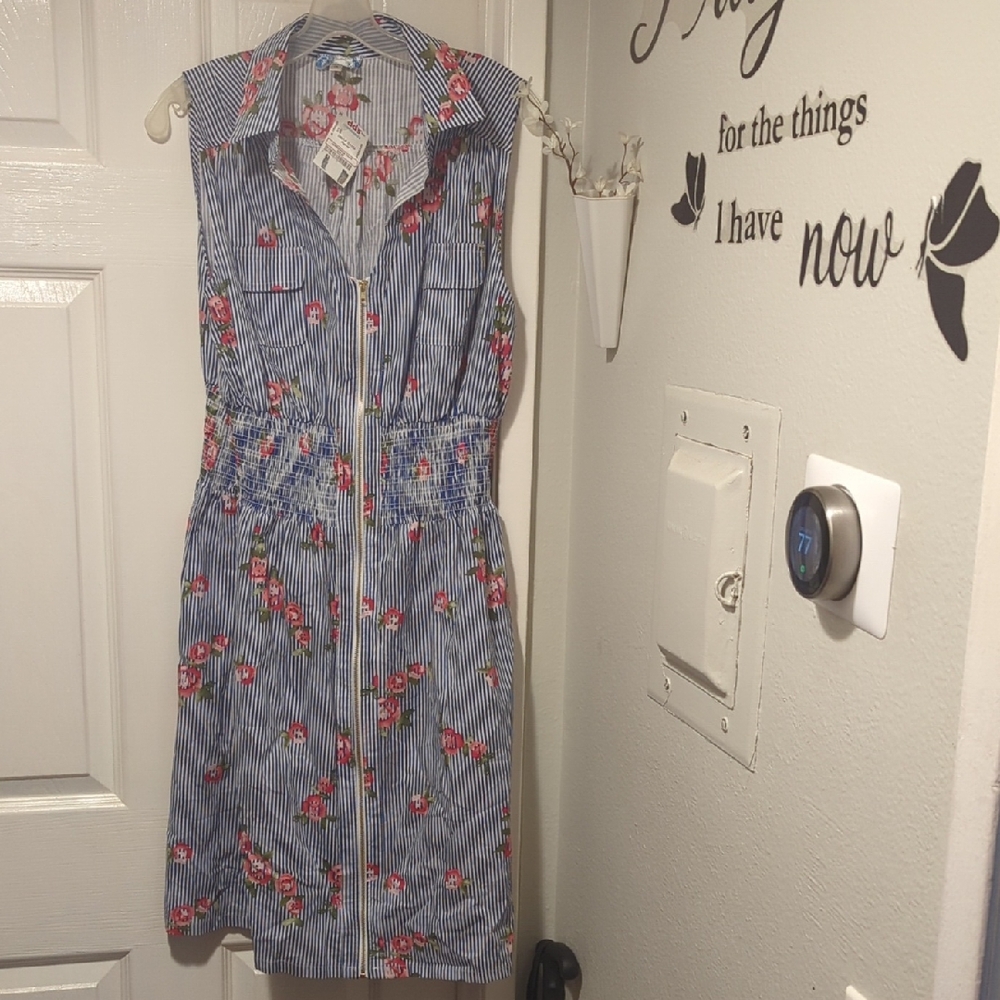 Floral Striped Sleeveless Dress